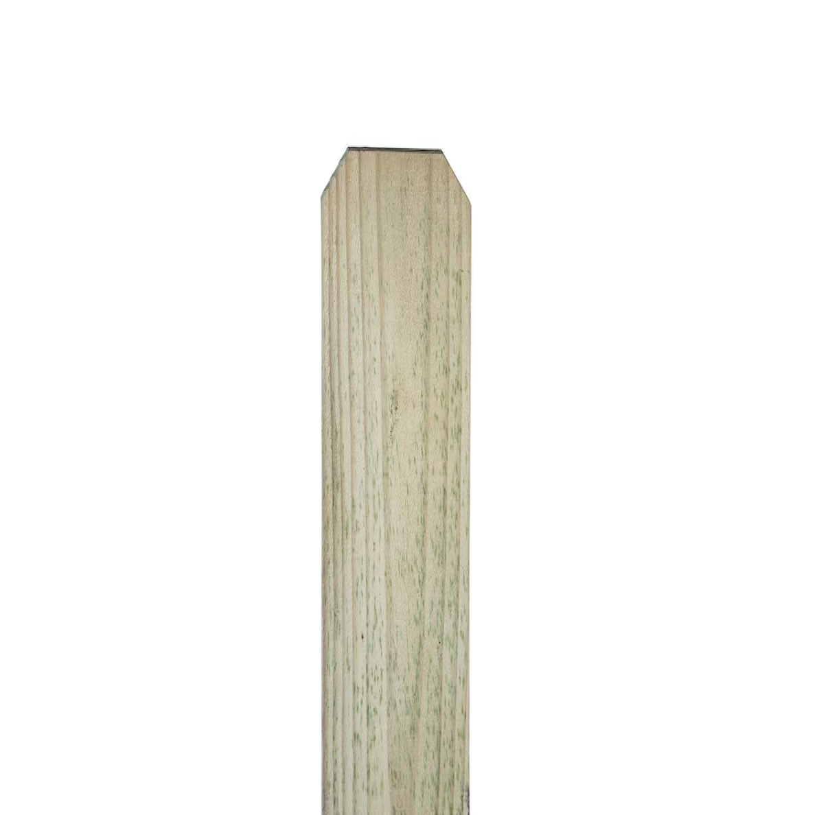 Pressure Treated Pine Dog Ear Fence Picket 1 Inch x 4 Inch x 48 Inch for Wood Privacy Fencing